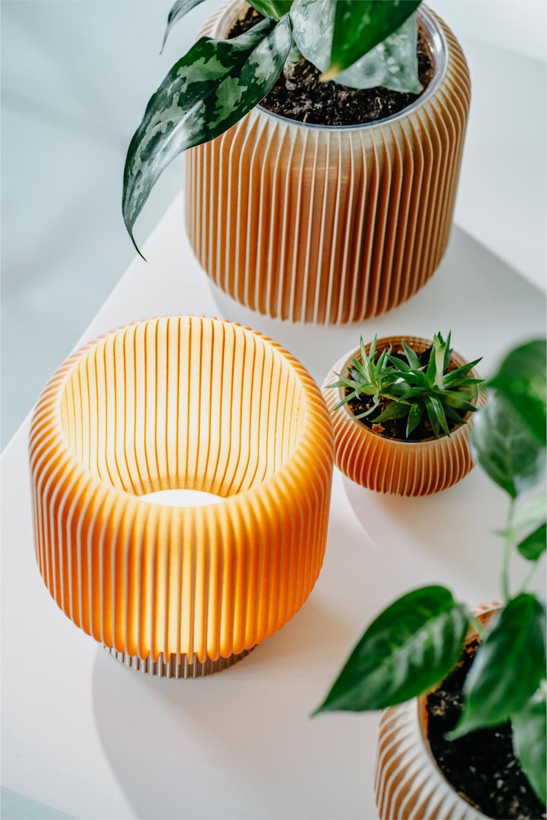 Lámpara de mesa 71L01.OAK / sin cable / táctil / inalámbrica y portátil / estructura de roble / el mejor regalo para los amantes del diseño / nuestro BESTSELLER