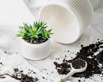 Small planter 71P02.120.WHITE / 3d printed plant pot / ecofriendly and geometric / minimalist and modern