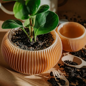 Puede incluir: Una planta verde con hojas grandes en una maceta de cerámica marrón claro con nervaduras. La maceta está sobre una superficie marrón con una cuchara y un tenedor de madera.