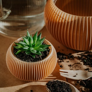 Może przedstawiać: Mała sukulentna roślina w brązowej, żebrowanej doniczce ceramicznej. Doniczka stoi na brązowym papierowym podłożu z drewnianym łyżką i widelcem, a także trochę luźnej ziemi.