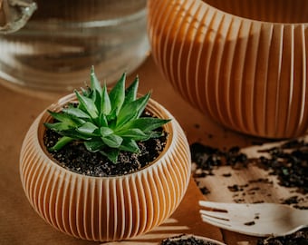 Kleiner Übertopf 71P01.120.OAK / 3D-gedruckter Übertopf / umweltfreundlich und geometrisch / einzigartiges Geschenk für Kaktusliebhaber