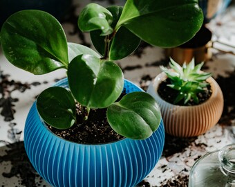 Medium planter 71P01.500.BLUE / 3d printed plant pot / ecofriendly and geometric / minimalist and modern