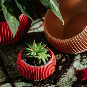 Könnte beinhalten: Nahaufnahme von drei dekorativen Pflanzgefäßen. Ein roter Topf enthält eine kleine Sukkulente. Ein zweiter roter Topf enthält eine größere Pflanze mit grünen und weißen Blättern. Ein dritter, leerer Topf ist beige. Die Töpfe stehen auf einer grünen Oberfläche.