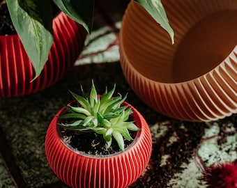 Small planter 71P01.120.RED / 3d printed plant pot / ecofriendly and geometric / minimalist and modern