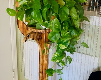 Oval Wooden Plant Stand, Handmade by SKY