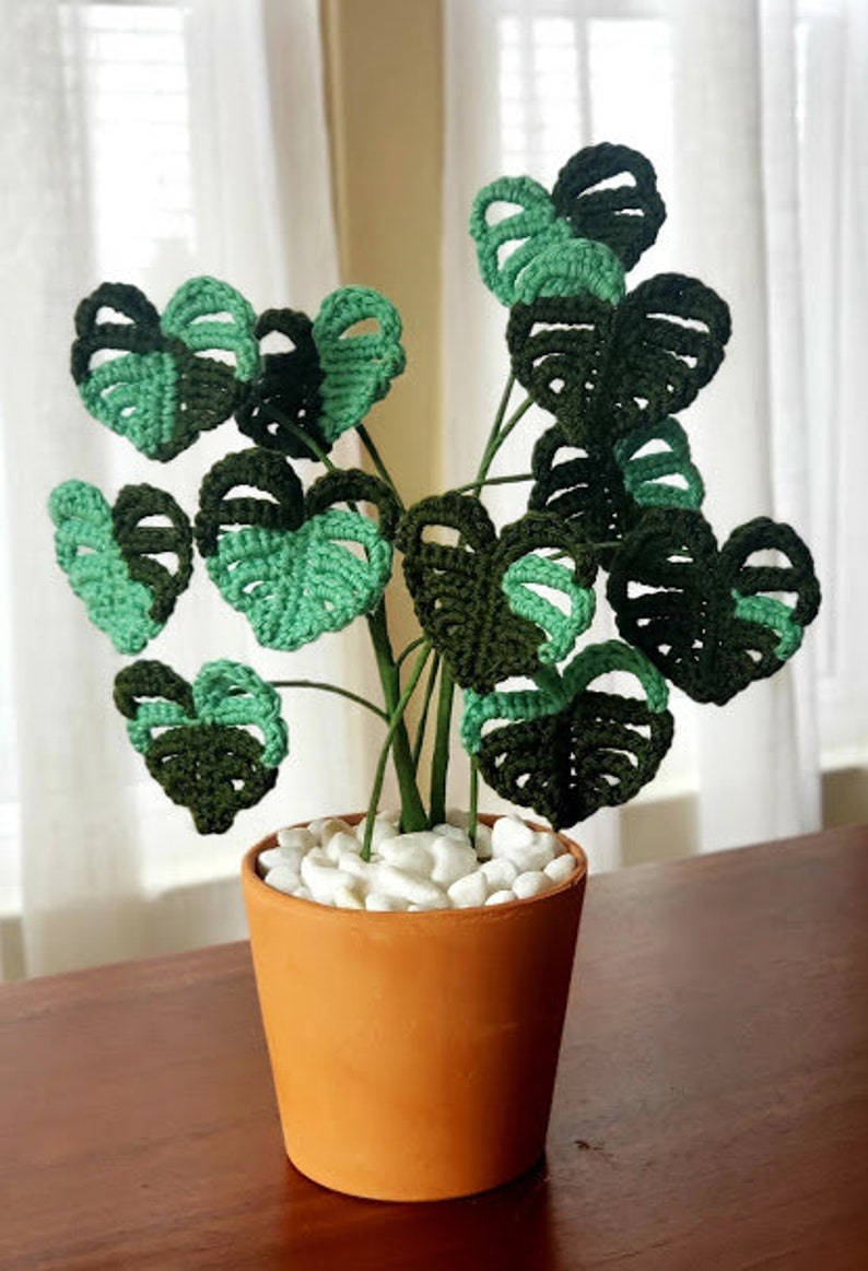 Monstera Plante au crochet variée Etsy