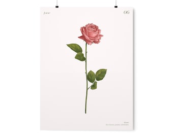 June Birth Month Flower Print, Rose Art Print, Boho Flower Art, Birth Flower, Rose Birth Month Flower