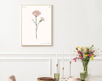 January Birth Month Flower Print, Carnation Art Print, Boho Flower Art, Birth Flower, Carnation, Birth month Flower Meaning