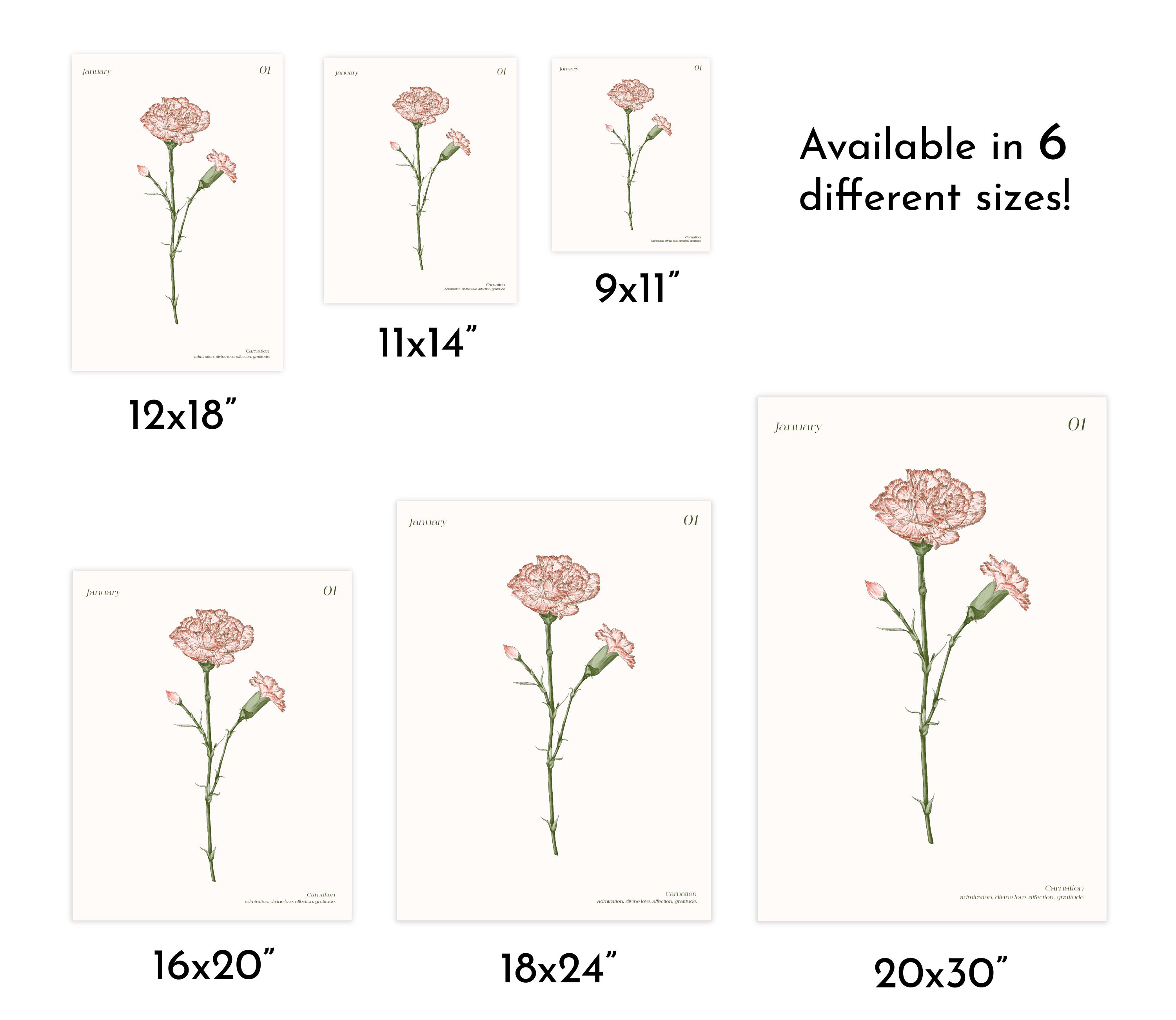 January Birth Month Flower Print, Carnation Art Print, Boho Flower Art ...