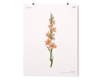 Mese di nascita di agosto fiore stampa, stampa d'arte di Gladiolo, arte del fiore di Boho, fiore di nascita, fiore del mese di nascita di Gladiolo