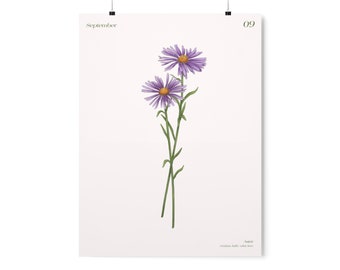 May include: A botanical illustration of a purple aster flower with a yellow center. The illustration is on a white background with the text "September 09 Aster, wisdom, faith, color, heart".