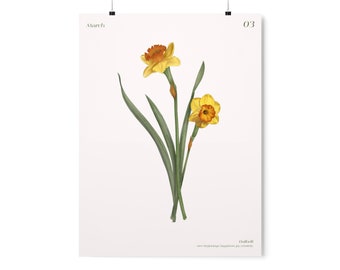 March Birth Month Flower Print, Daffodil Art Print, Boho Flower Art, Birth Flower, Daffodil Birth Month Flower