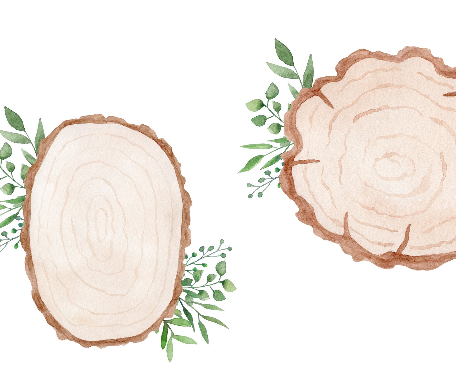 Pre Made Wood Slice Design Rustic Wood Slice Clipart Watercolor Wood ...
