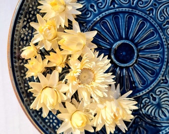 Cabezas de flores de paja secas, suministros de floristería orgánica, decoración floral de boda Blush White flores secas, flores eternas