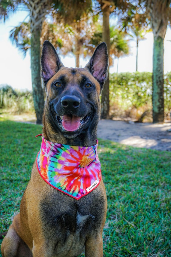 made to order Tie Dye Swirls Dog Bandana