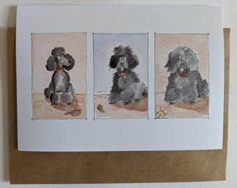 A5 greeting card - Three stages of a poodle