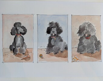 A3 print - Three stages of a poodle