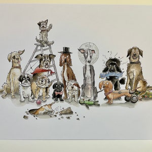 Scruffs A5 Große Grußkarte inspiriert von der Liebe der Welten scruffiest Dogs!