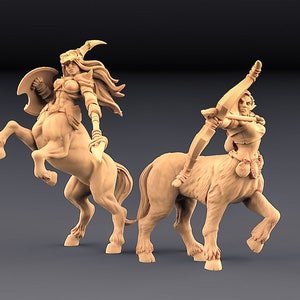 2x Female Centaur Warriors | Premium 3D Printed Tabletop Miniatures 28mm to 100mm |      dnd  20716