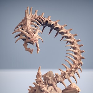 Può includere: Una statuetta di drago scheletrico con una struttura ossea dettagliata, in posa arrotolata. La testa del drago è sollevata e la sua bocca è aperta, rivelando denti affilati. La statuetta è realizzata in resina marrone chiaro e poggia su una base circolare.