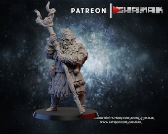 Firbolg Druid Monk DnD Miniatures compatible with 28mm 32mm fantasy minis | 20313