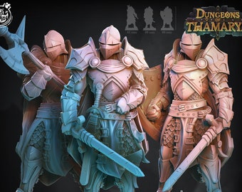 Miniaturas de Caballero Paladín DnD compatibles con miniaturas de fantasía de 28 mm y 32 mm / 41486_88