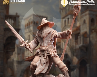 Human Wizard Paladin Premium dnd Miniature Mini Warrior | Resin 3D Printed| 28mm 32mm up to 100mm | 50072