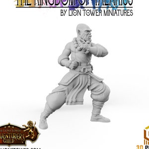 Monk Shaolin Master v2 | Premium 3D Printed Tabletop Miniatures 28mm to 100mm |      dnd 20815_B
