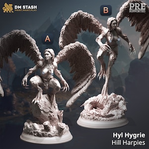 Female Harpy Premium dnd Miniature Mini Fighter Warrior | Resin 3D Printed | 28mm 32mm 100mm | 44214