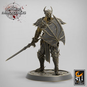 Paladin Knight Cleric V23 Premium dnd Miniature Mini Unchained Warrior | Resin 3D Printed | 28mm 32mm 100mm | 43395