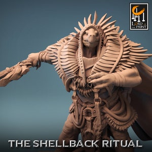 Tortle Druid Cleric Monk Giant Toad Shaman B Premium dnd Miniature Mini | Monster Beast | Resin 3D Printed | 43971