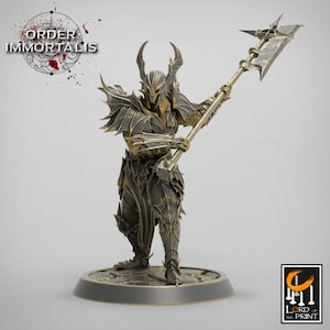Paladin Knight Cleric V14 Premium dnd Miniature Mini Unchained Warrior | Resin 3D Printed | 28mm 32mm 100mm | 43386