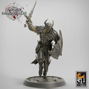 Paladin Knight Cleric V21 Premium dnd Miniature Mini Unchained Warrior | Resin 3D Printed | 28mm 32mm 100mm | 43393