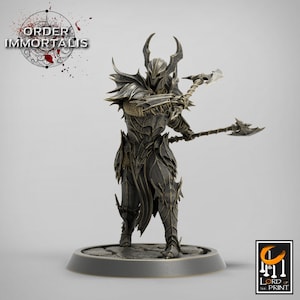 Paladin Knight Cleric V1 Premium dnd Miniature Mini Unchained Warrior | Resin 3D Printed | 28mm 32mm 100mm | 43373