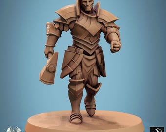 Paladin Knight v14 DnD Miniatures compatible with 28mm 32mm fantasy minis | 46031