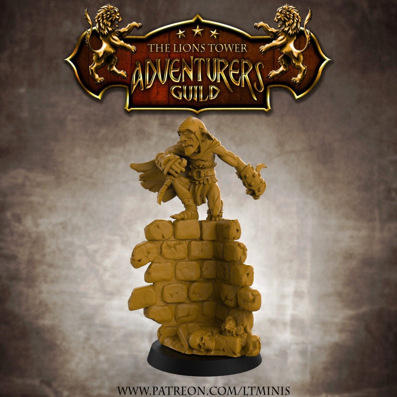 dungeons 2 goblin assassin dungeons 2 goblin assassin
