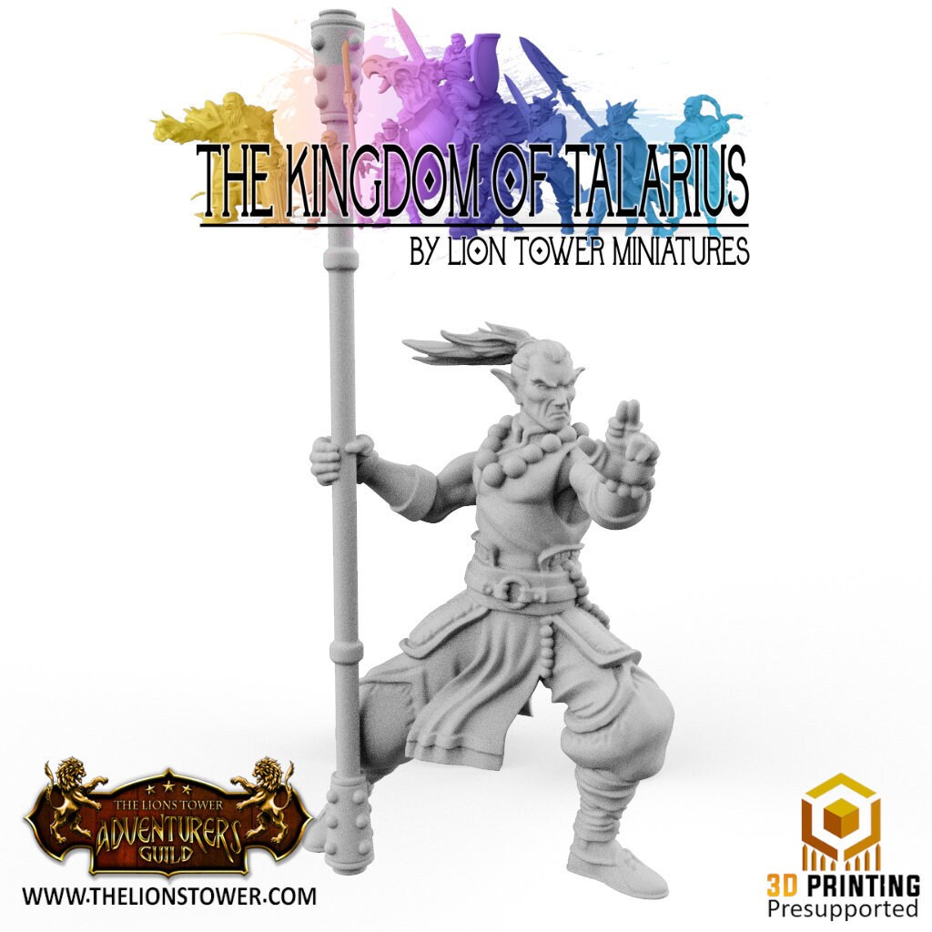 Monk Shaolin Master | Premium 3D Printed Tabletop Miniatures 28mm to 100mm |      dnd 20815_A