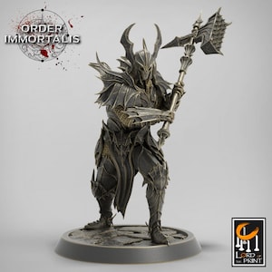 Paladin Knight Cleric V18 Premium dnd Miniature Mini Unchained Warrior | Resin 3D Printed | 28mm 32mm 100mm | 43390
