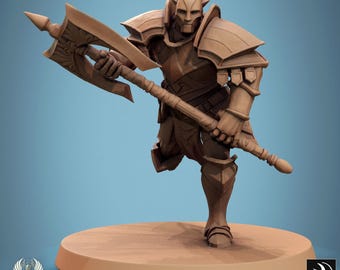 Paladin Knight v11 Miniaturas DnD compatibles con miniaturas de fantasía de 28 mm y 32 mm / 46028