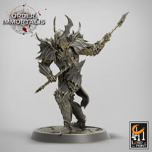 Paladin Knight Cleric V2 Premium dnd Miniature Mini Unchained Warrior | Resin 3D Printed | 28mm 32mm 100mm | 43374