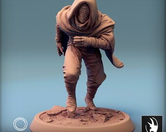 Assassin Rogue v5 DnD Miniatures compatible with 28mm 32mm fantasy minis | 44641