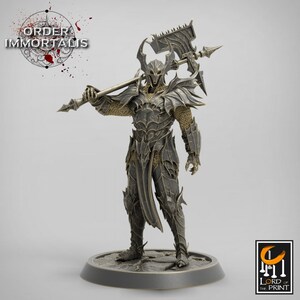 Paladin Knight Cleric V17 Premium dnd Miniature Mini Unchained Warrior | Resin 3D Printed | 28mm 32mm 100mm | 43389