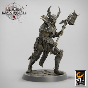 Paladin Knight Cleric V16 Premium dnd Miniature Mini Unchained Warrior | Resin 3D Printed | 28mm 32mm 100mm | 43388