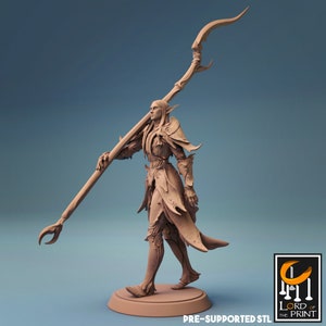 Elf Cleric Paladin Knight v5 Premium dnd Miniature Mini Fighter Warrior | Resin 3D Printed | 28mm 32mm 100mm | 44301