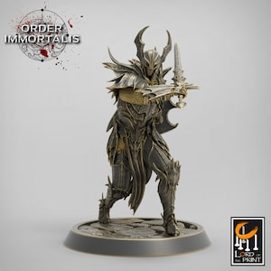 Paladin Knight Cleric V24 Premium dnd Miniature Mini Unchained Warrior | Resin 3D Printed | 28mm 32mm 100mm | 43396