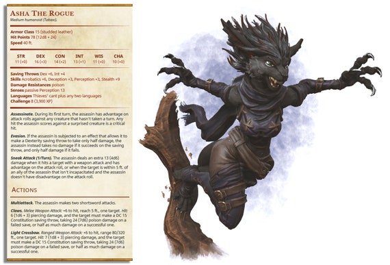 DnD Tabaxi 5e race guide – names, traits, and class ideas