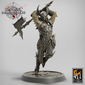 Paladin Knight Cleric V19 Premium dnd Miniature Mini Unchained Warrior | Resin 3D Printed | 28mm 32mm 100mm | 43391