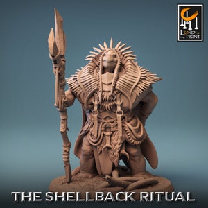 Tortle Druid Cleric Monk Giant Toad Shaman C Premium dnd miniatuur mini | Monsterbeest | 3D-geprint hars | 43972