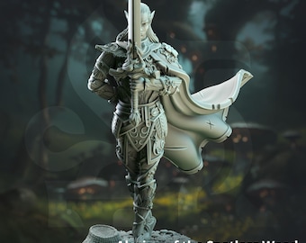 Caballero Paladín Elfo Alto DnD Miniaturas compatibles con miniaturas de fantasía de 28 mm y 32 mm / 50587