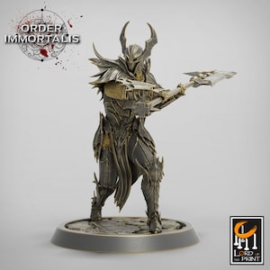 Paladin Knight Cleric V13 Premium dnd Miniature Mini Unchained Warrior | Resin 3D Printed | 28mm 32mm 100mm | 43385